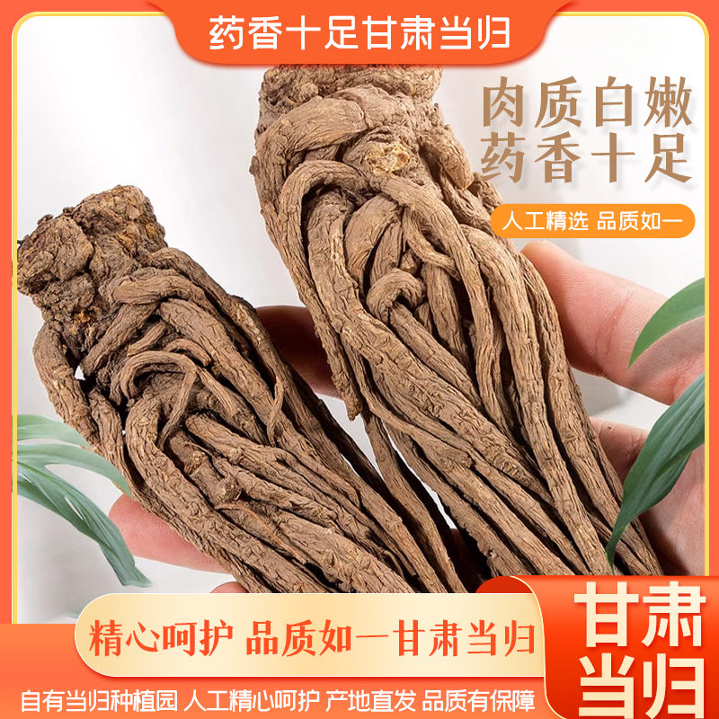 甘肃岷县自产精选当归无硫煲汤直发泡水炖肉党参产地直销