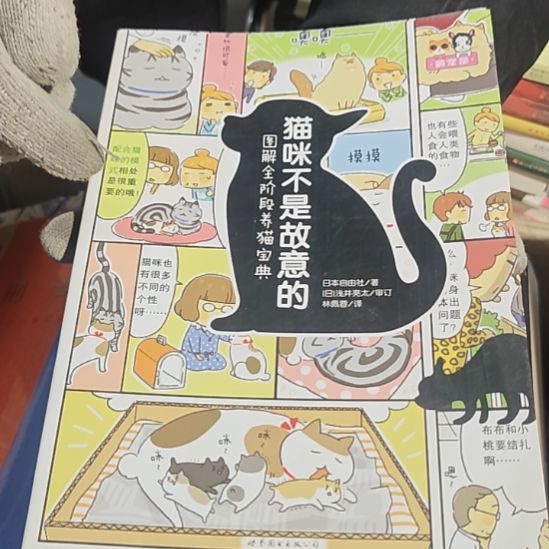 猫咪不是故意的平装库存书
