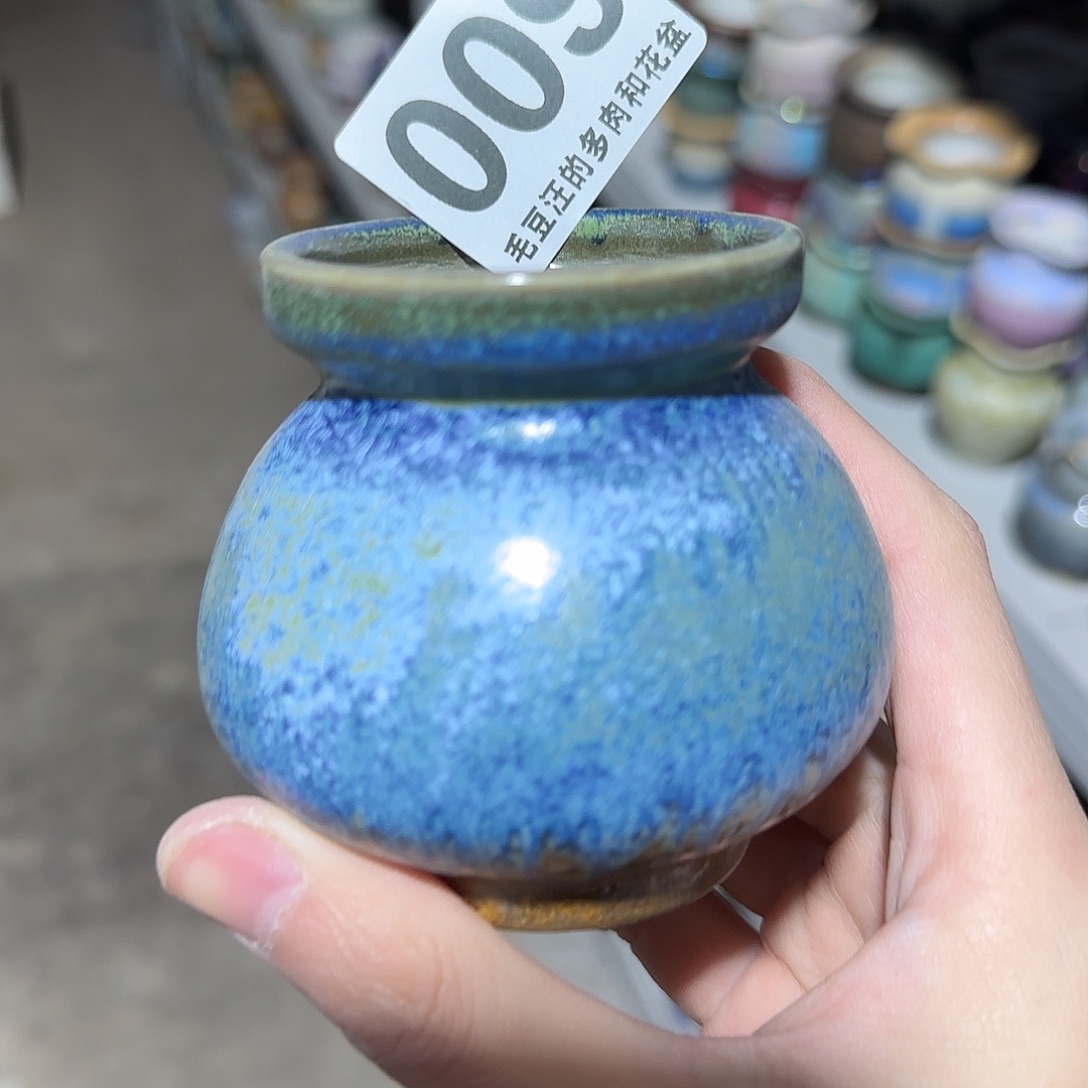 风***里009 口 5花盆福利特惠