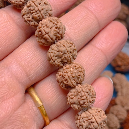 金刚菩提手串v0208/14/5龙骨梅花