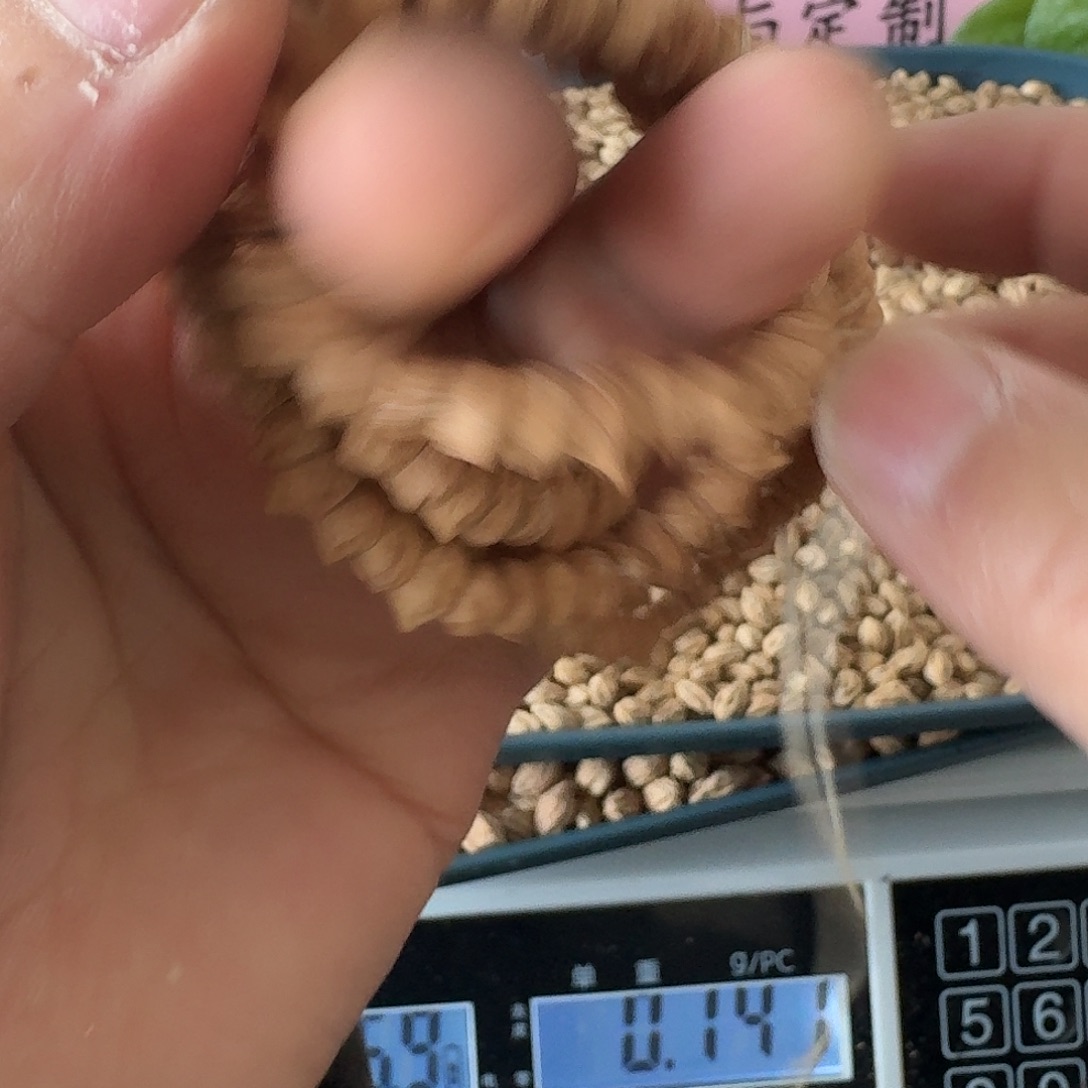 U***K吊坠柏香籽/百香籽福利大肠108