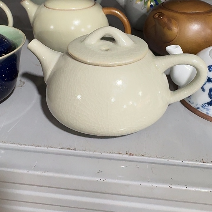 主人杯。。。。杯。。。。