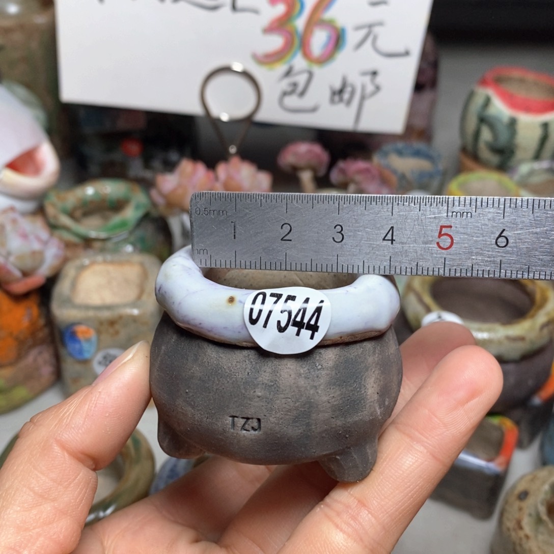 花盆拍3个送一个小礼物