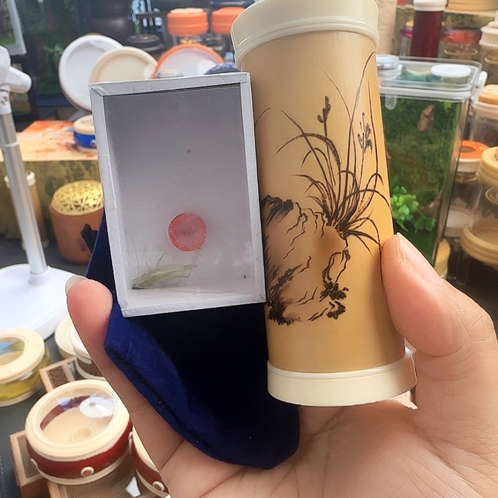 竹筒➕青竹啊啊啊啊啊