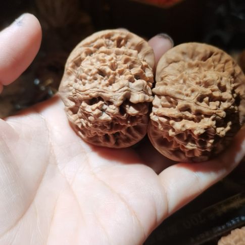 猴头核桃吊坠49.5龙鼎官