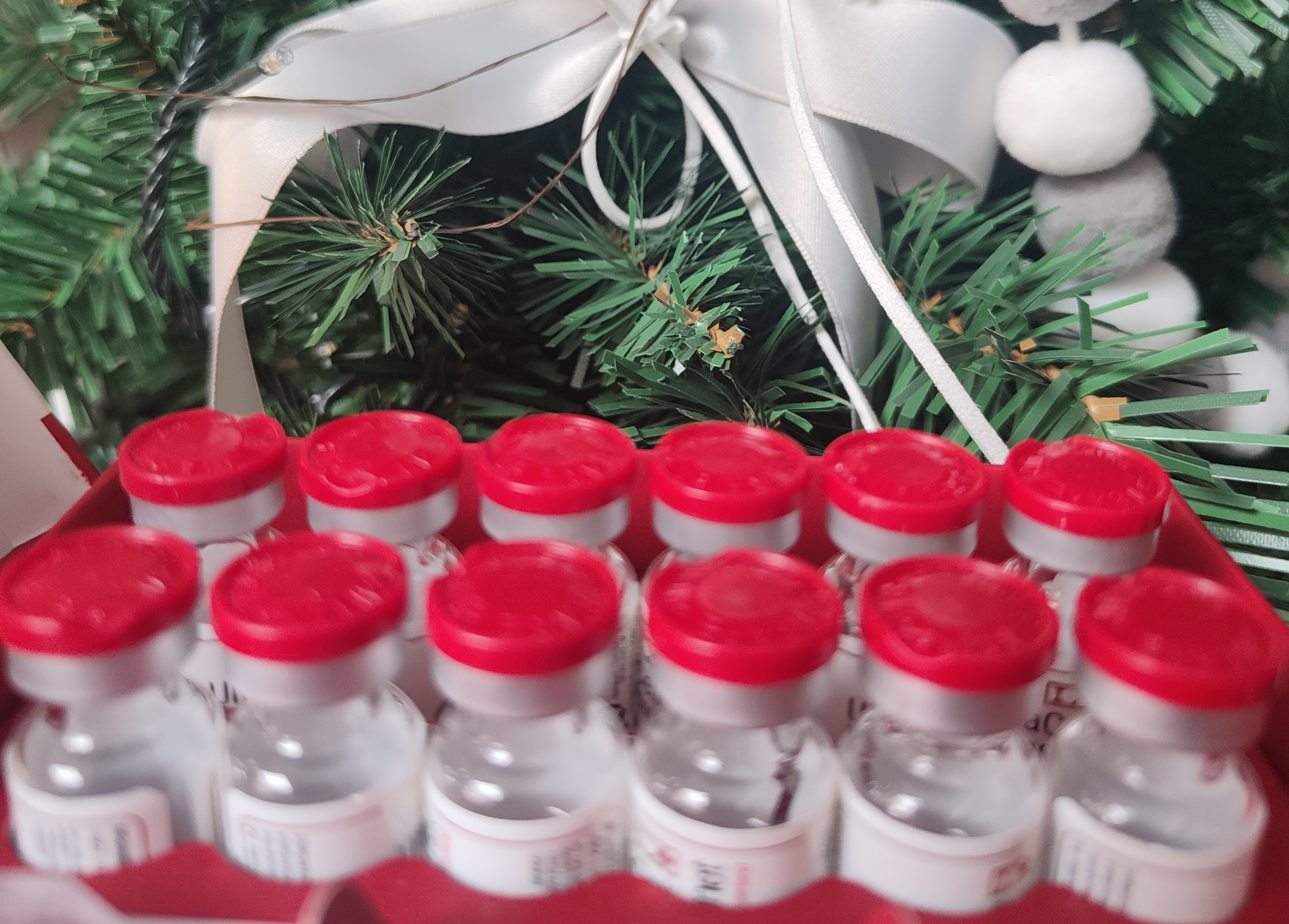 红色密集精华一盒