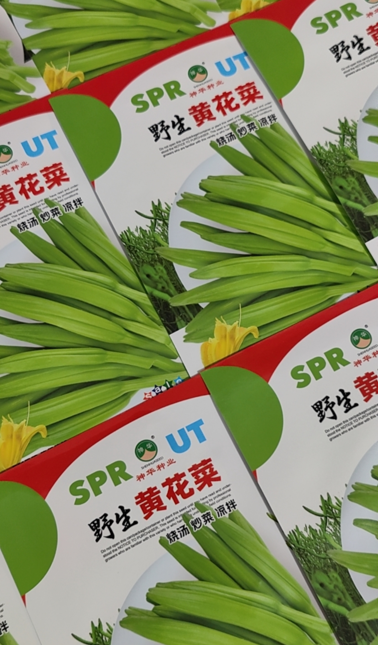 野生黄花菜种子籽（一袋50粒左右）