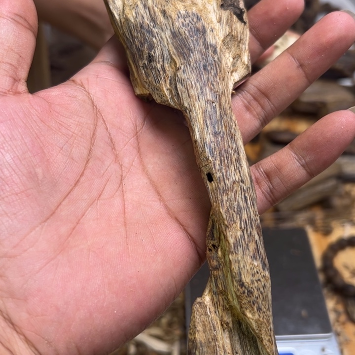 沉香碎屑沉香50克