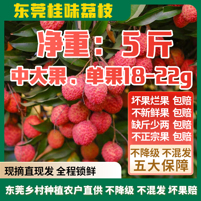 【邮政专属】东莞桂味荔枝（省外）