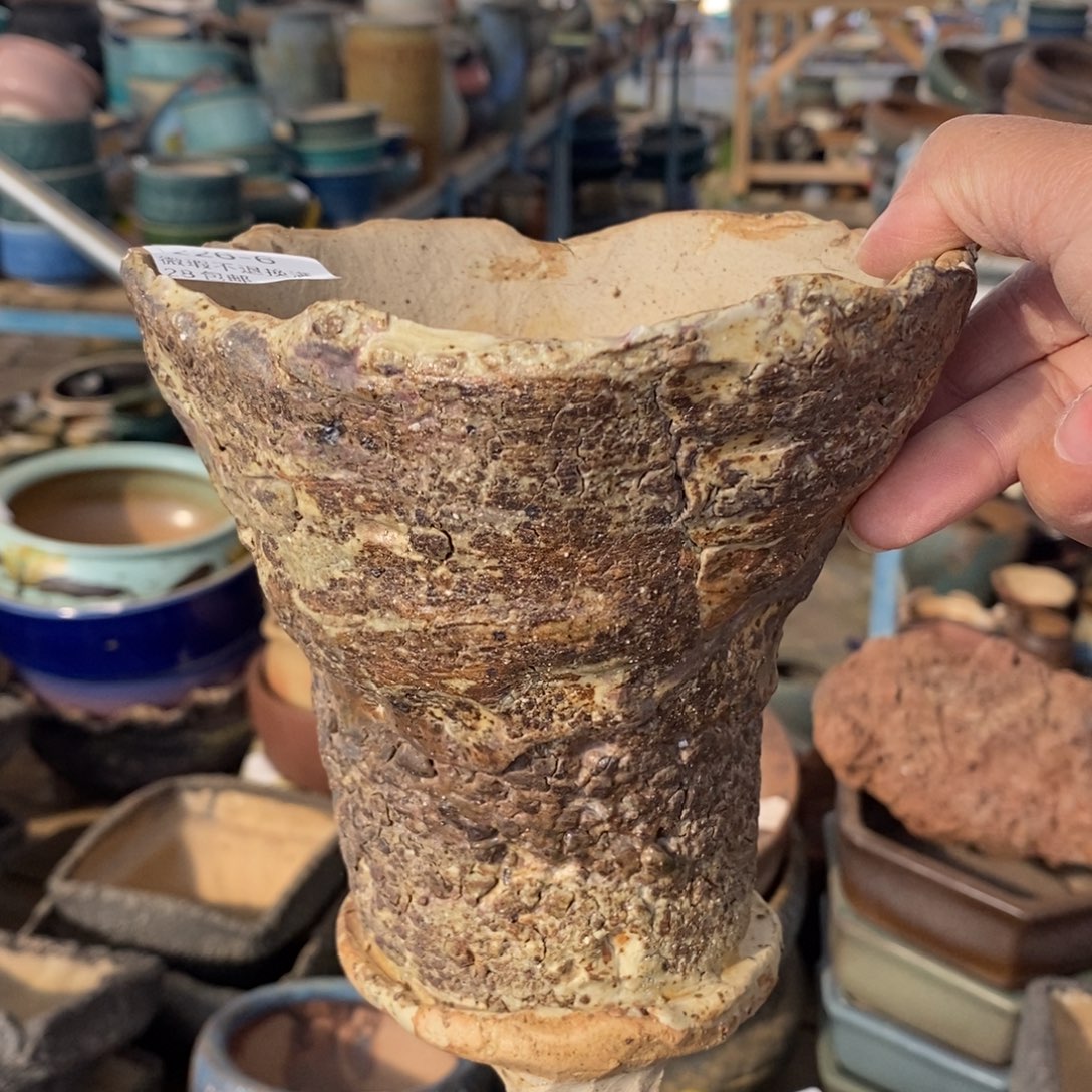 6号多肉盆口径13高15