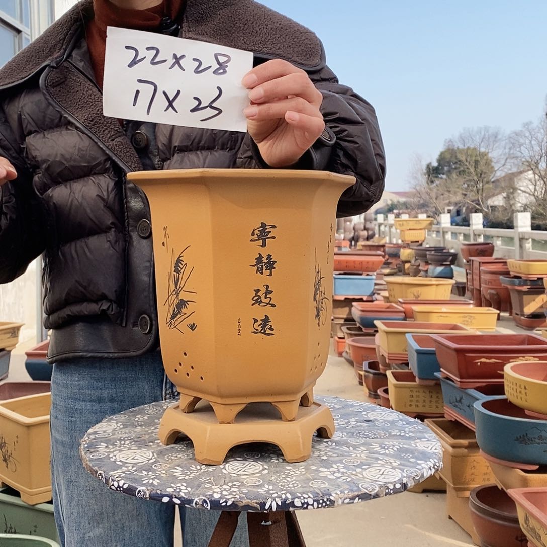 紫砂花盆紫砂花盆