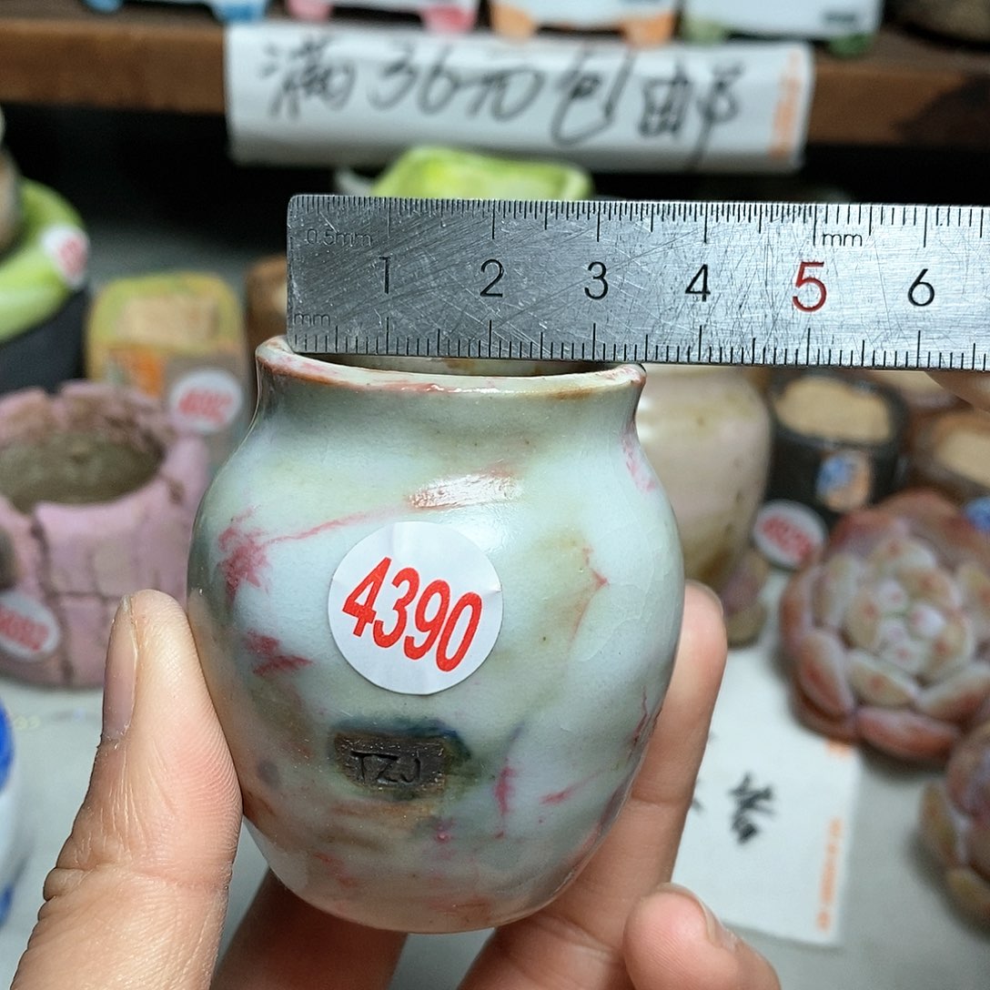 红陶拍5送一个小