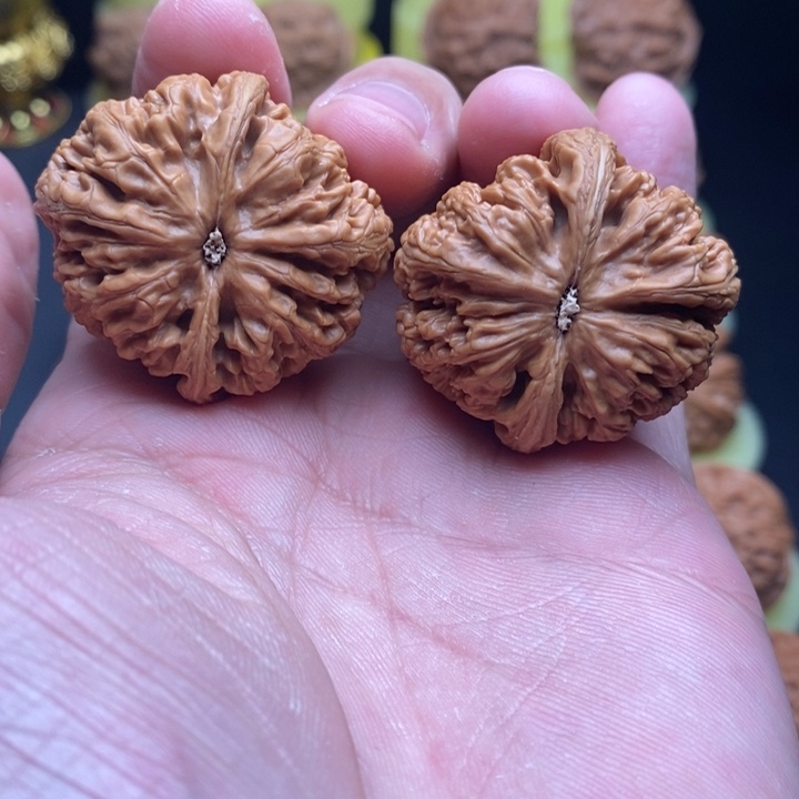 把件文玩核桃37尺小粗筋