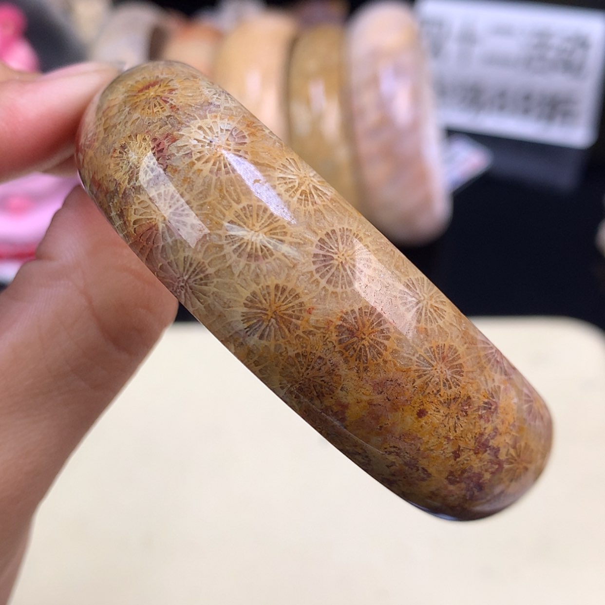 【闪购商品】颈饰未镶嵌硅化珊瑚（珊瑚玉）23号精美手镯58.3圈口