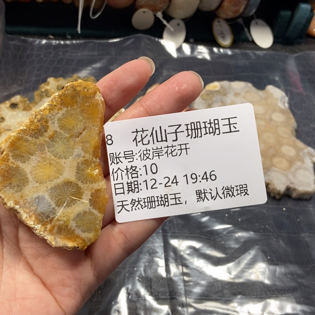 彼***开硅化珊瑚（珊瑚玉）未镶嵌珠宝半成品8