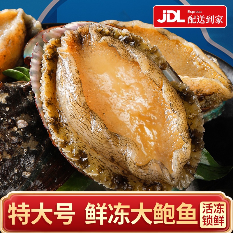 三只海豚超大鲍鱼鲜活冷冻新鲜海鲜水产特大加热即食小鲍鱼可批发