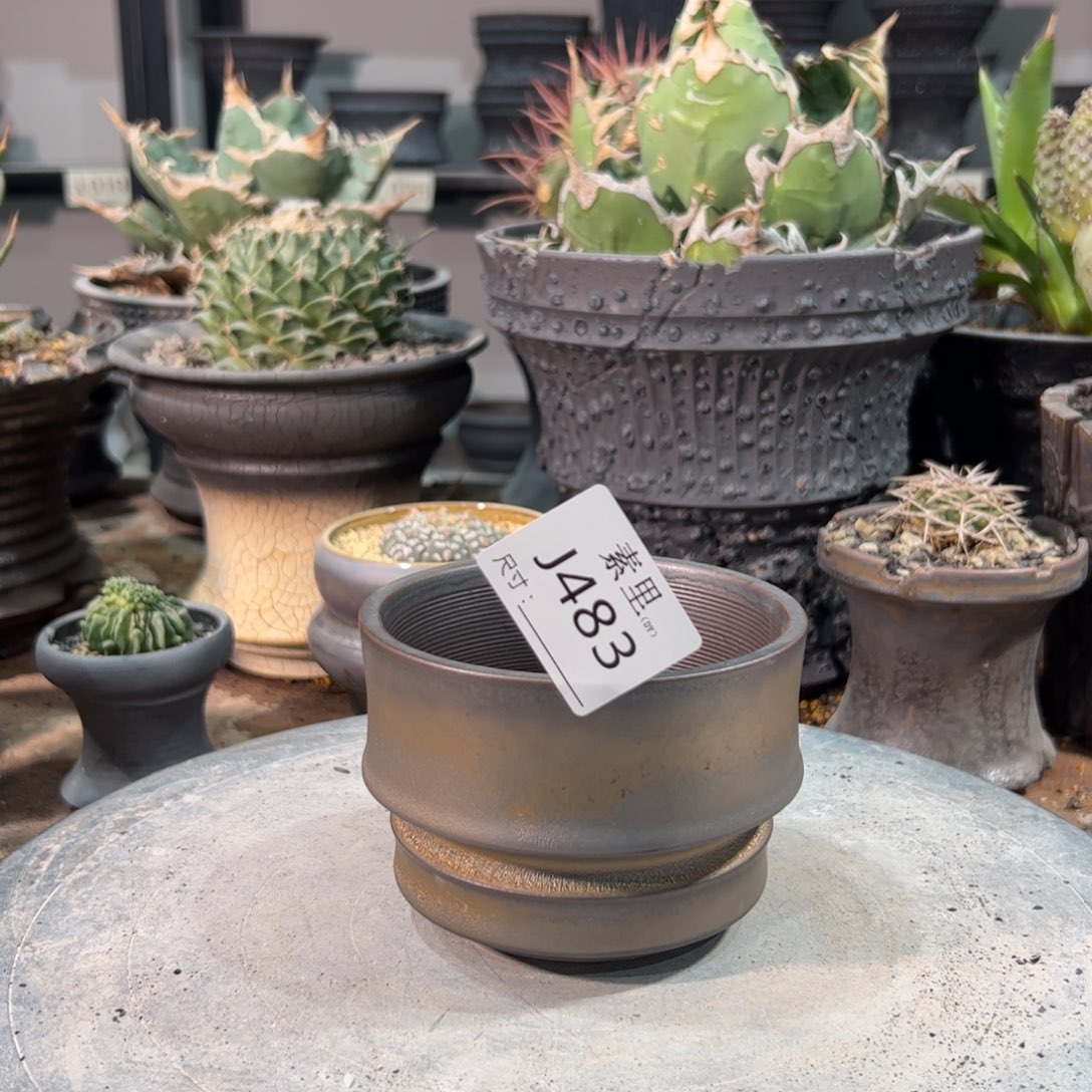 景德镇手工素里内口9.5高7.5