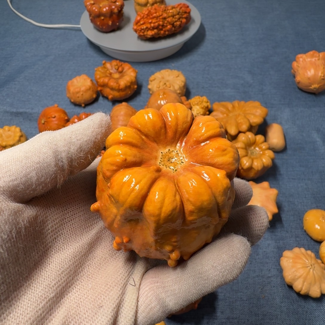 智***生墨西哥七彩疙瘩葫芦