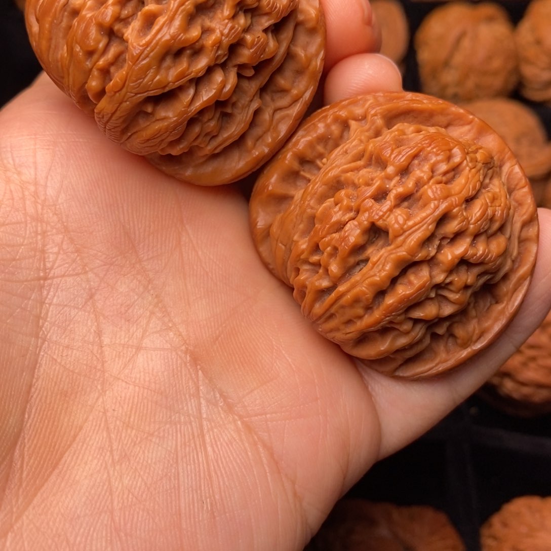 秦岭野生文玩核桃