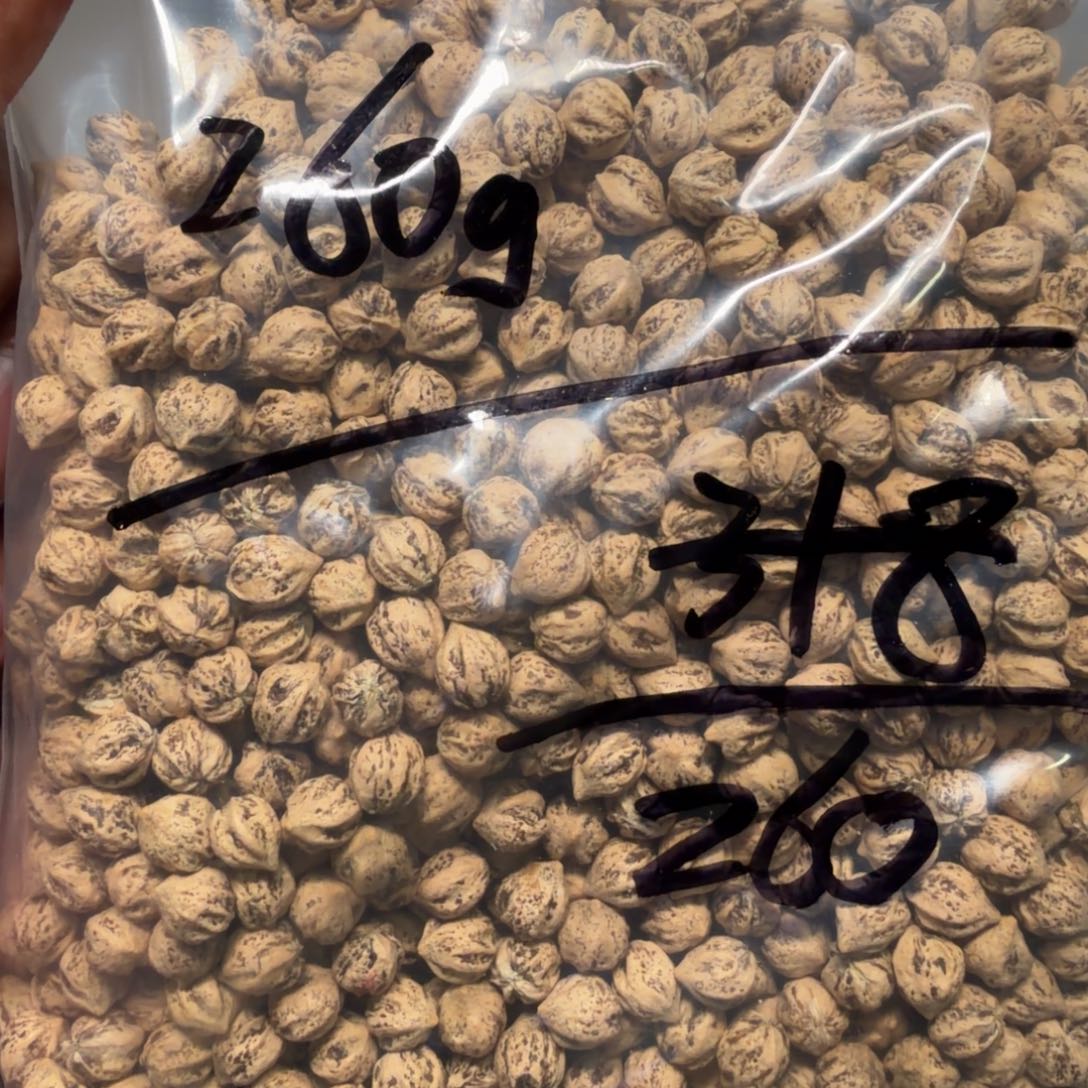 吊坠柏香籽/百香籽深****