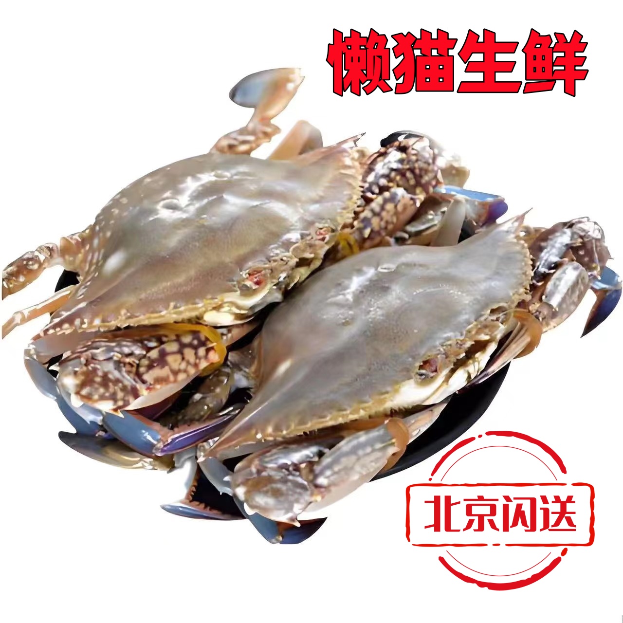 【鲜活】梭子蟹 3斤/5斤 单只2-3两 （每斤4-5只 ）螃蟹 海鲜 海蟹 规格可选