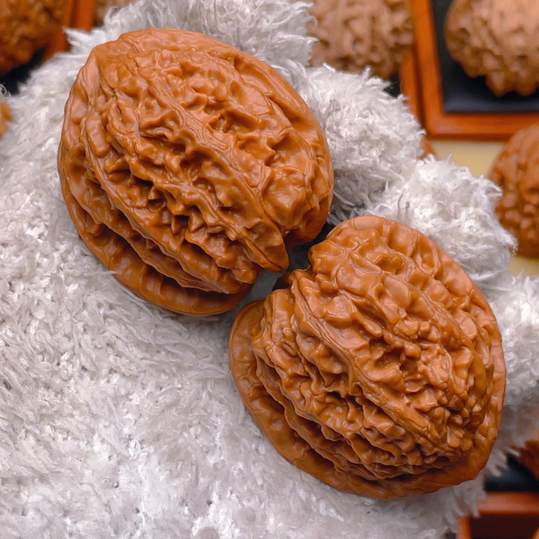 文玩核桃把件40龙脊