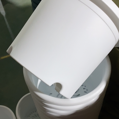 树脂四季3#无托纯白10个