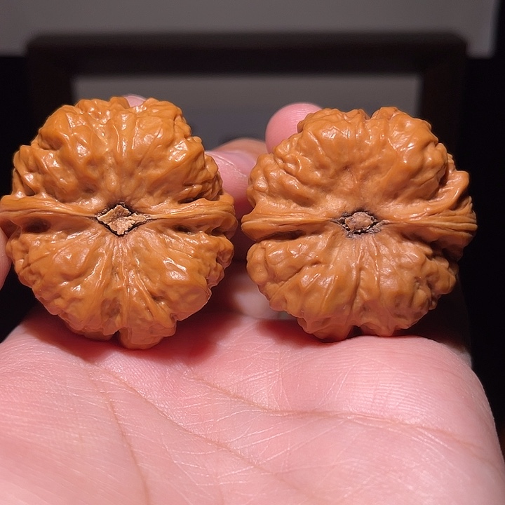 用***6核桃手串/手链蛤蟆头  