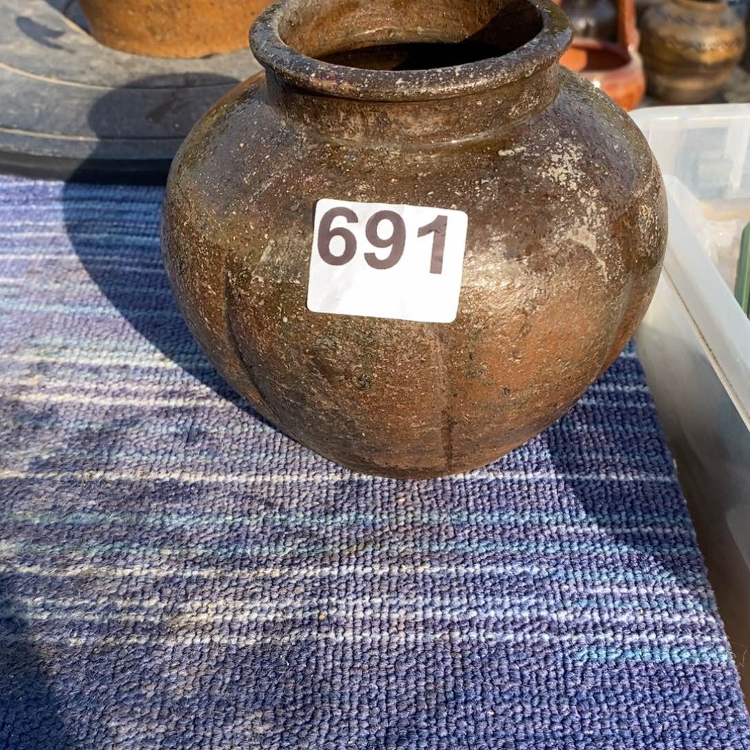 用***1罐养花养花养花养草