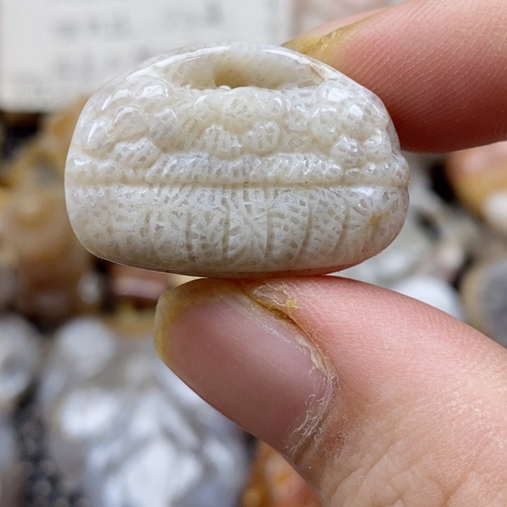 颈饰未镶嵌硅化珊瑚（珊瑚玉）小