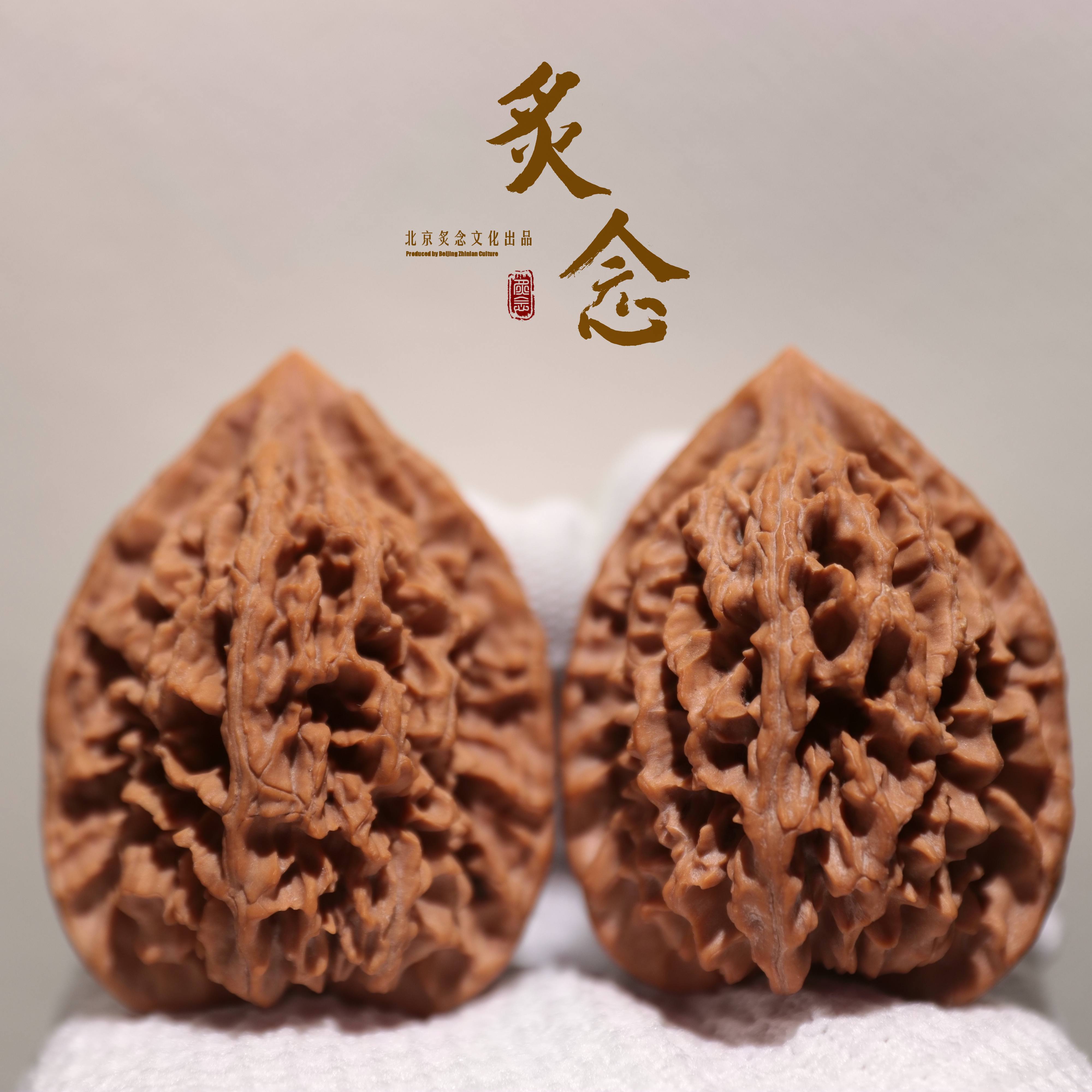 野生 · 43-43-56 一物一图 文玩好物 