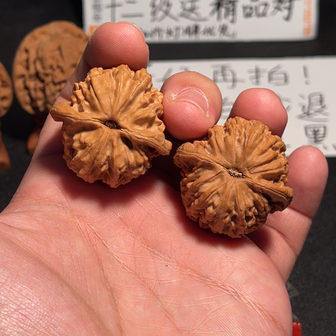 36全品红皮山地磨盘