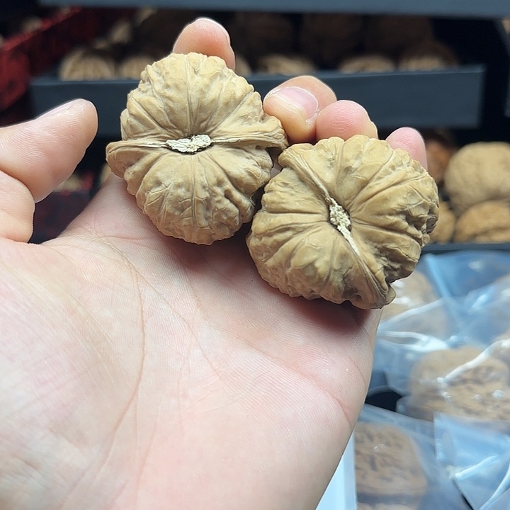 旭***霖龙脊菩提吊坠啊啊啊啊啊啊南瓜1