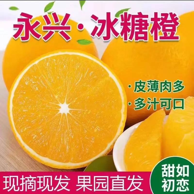 【5斤装】正宗永兴冰糖橙新鲜采摘脆甜多汁香甜当季水果新鲜采摘