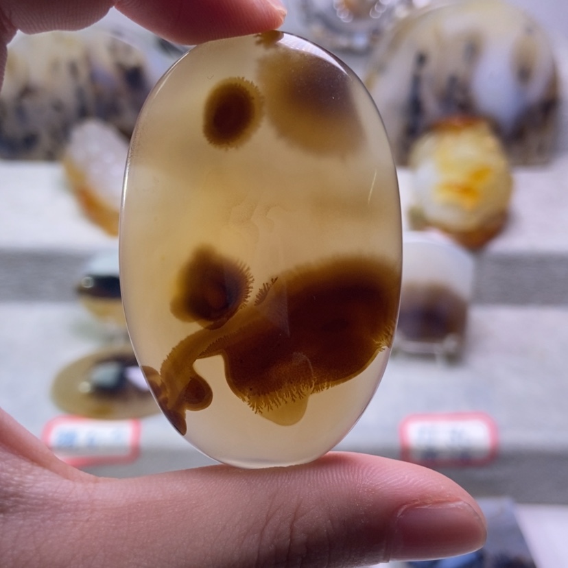 【闪购商品】未镶嵌玛瑙/玉髓珠宝奇石