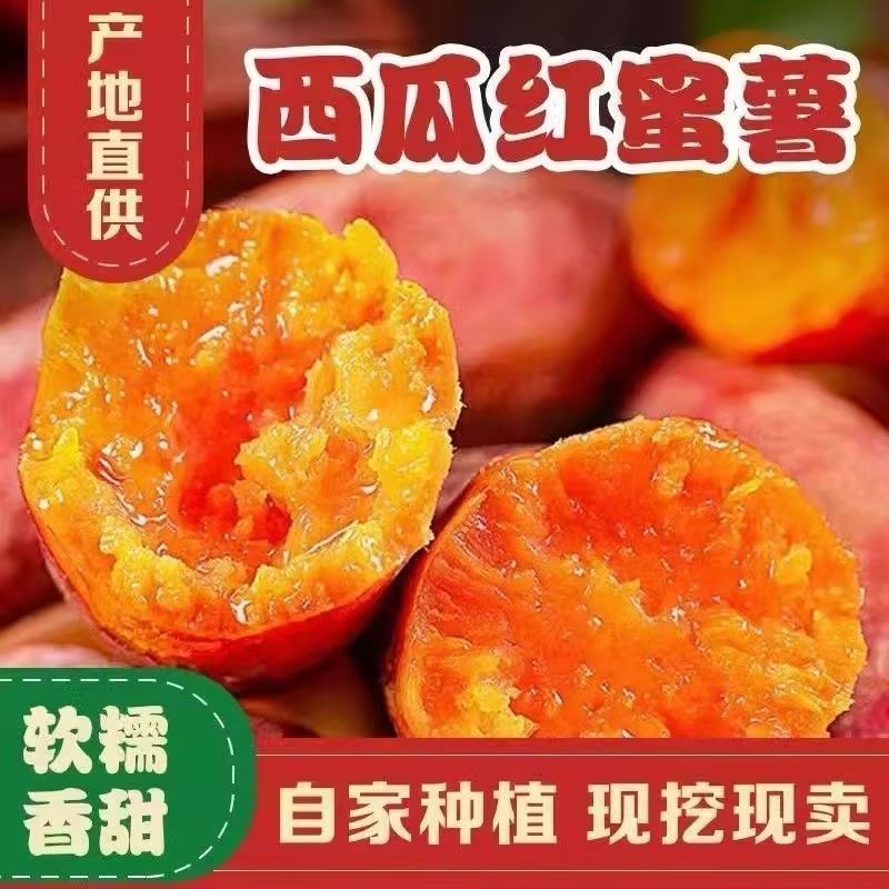 西瓜红蜜薯新鲜现挖正宗黄心蜜薯软糯香甜沙地红薯