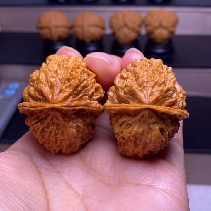文玩核桃把件珊瑚石19