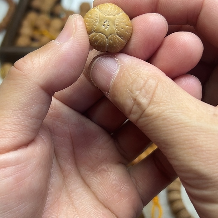 手串凤眼菩提?****肩尼泊尔五星三通。打孔不退换