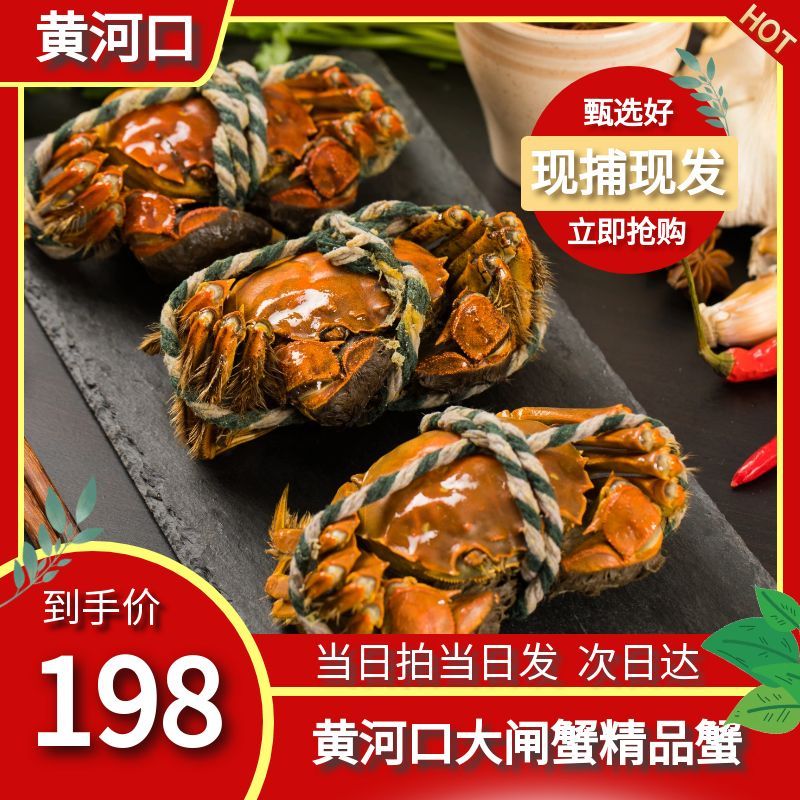 2两母蟹（1.8两-2.3两）5只+3两公蟹（2.8两-3.3两）5只共10只礼盒装