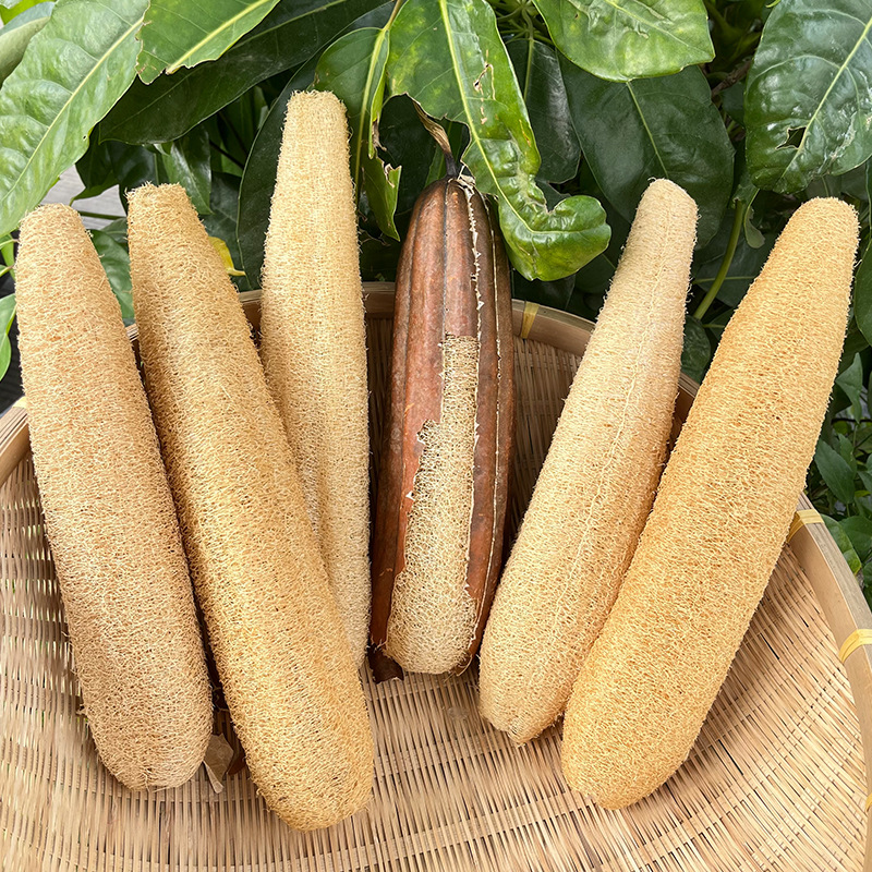 三条装丝瓜络天然百洁布