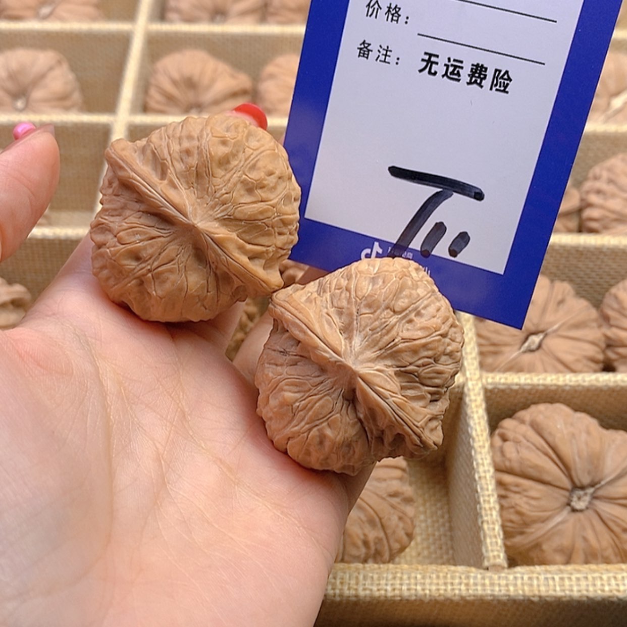 【闪购商品】把件文玩核桃邵*文玩核桃南瓜11