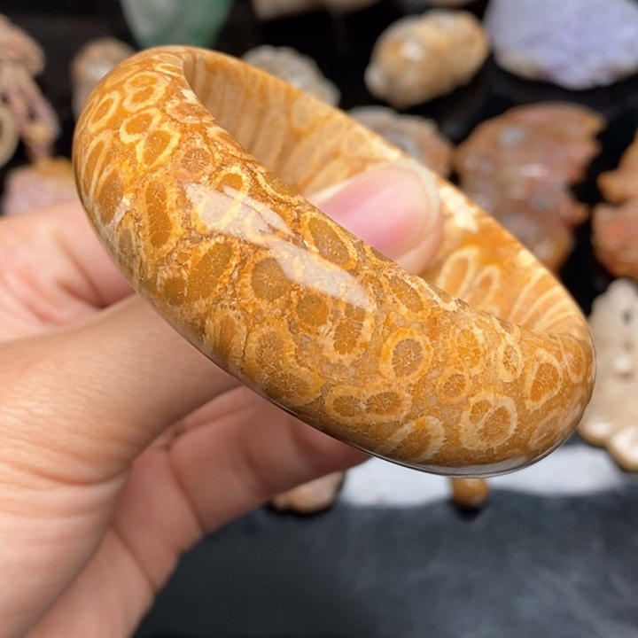 硅化珊瑚（珊瑚玉）手镯未镶嵌53.3