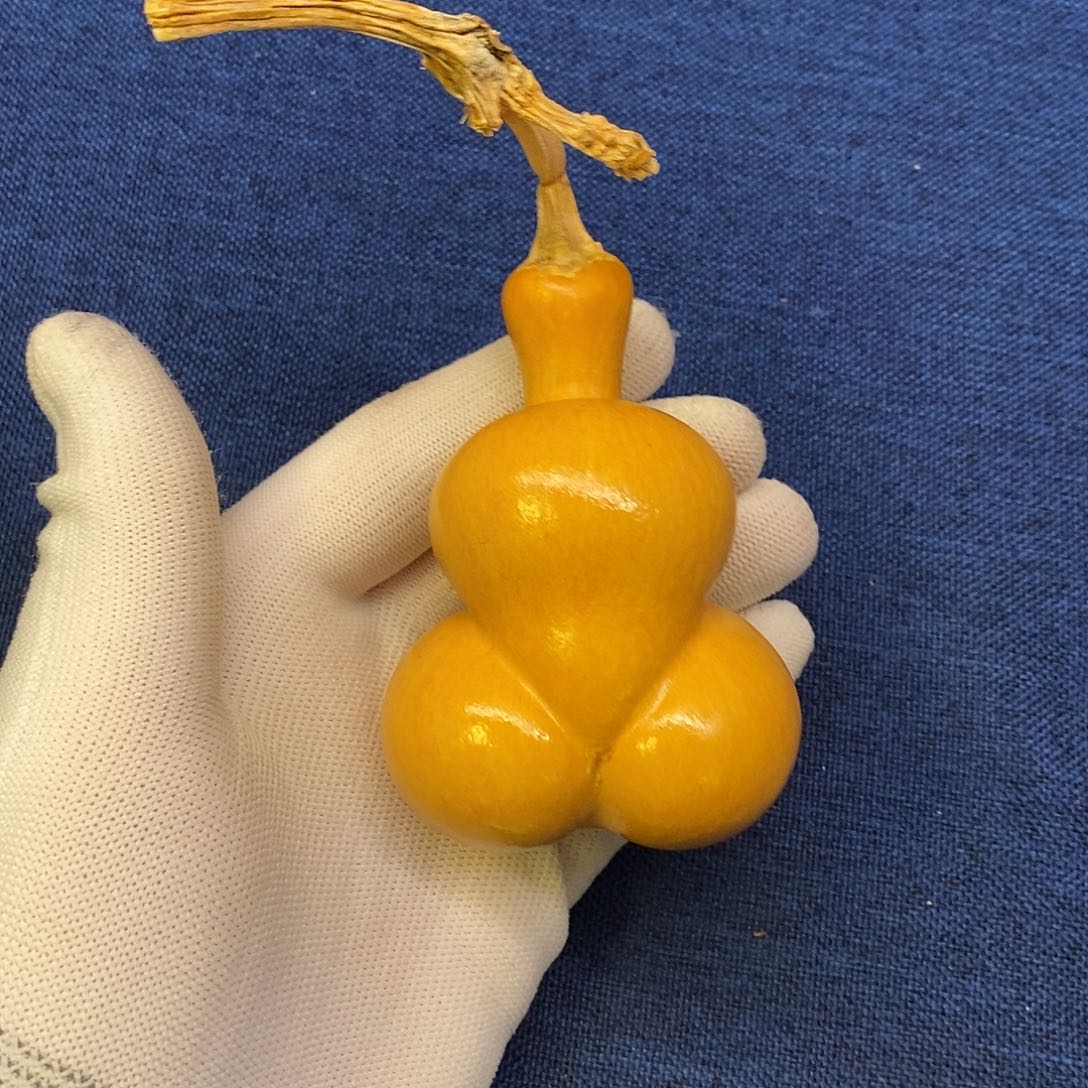 L**y舍的出品精选天然葫芦