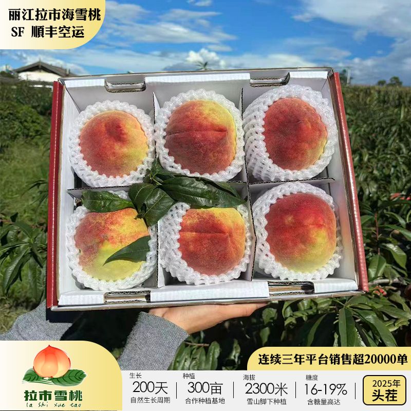 【顺丰空运】正宗丽江拉市雪桃 连续十二年献礼国庆宴席 源产地发货