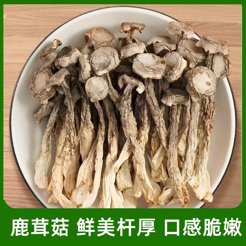 高山干货鹿茸菇脆脆菇炖汤食材美味鲜味脆嫩臻选精选肥厚