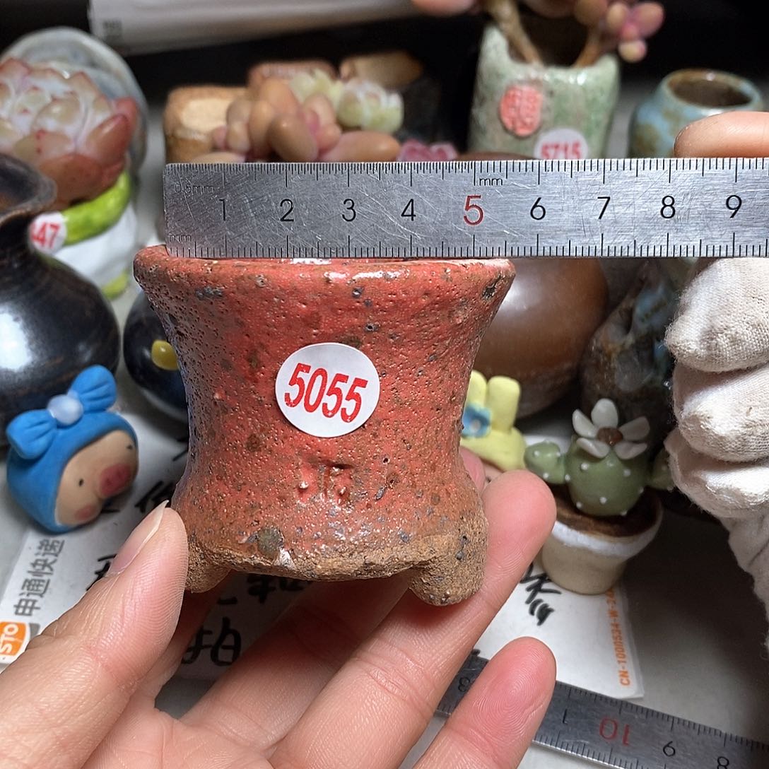 红陶拍5送一个小