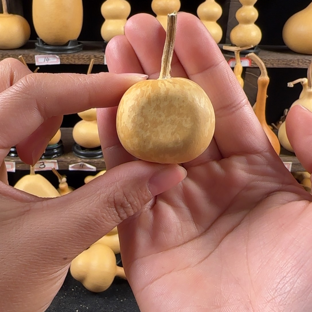 小***9葫芦葫芦葫芦葫芦葫芦葫芦