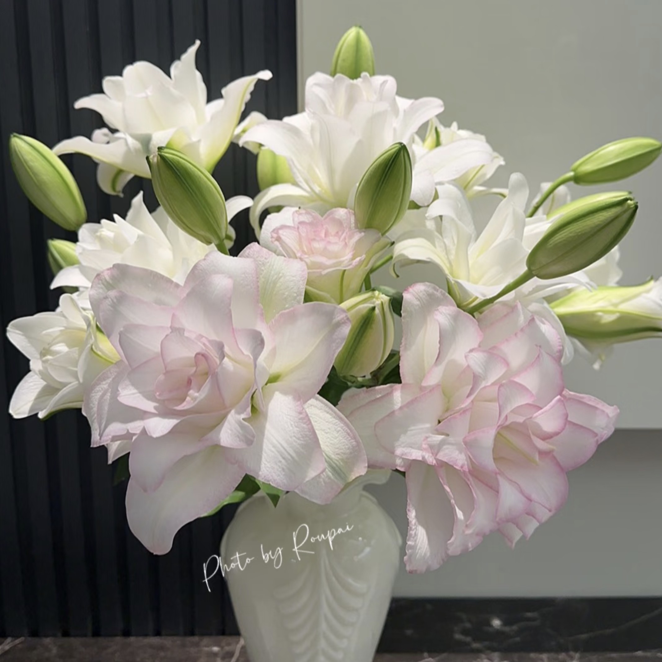 多头冰美人香水百合鲜花浓香云南直发【0下拍保温，否则冻坏不售后】