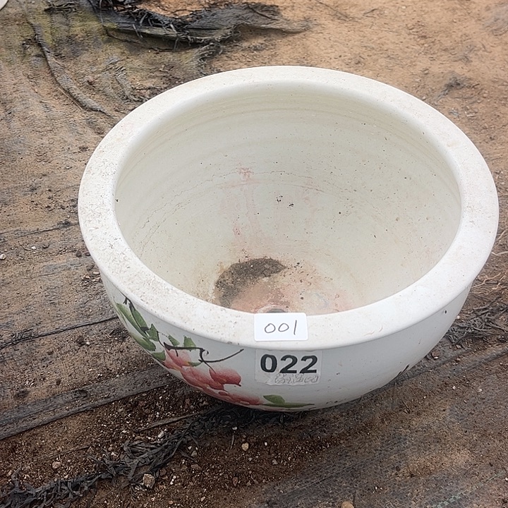 溜***去001花盆脱土岁货不退不换