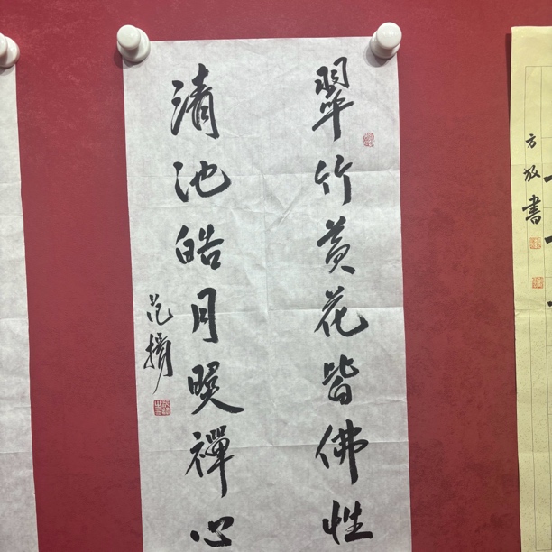 精品书画作品111